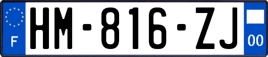 HM-816-ZJ