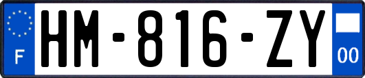 HM-816-ZY