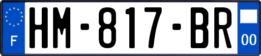 HM-817-BR