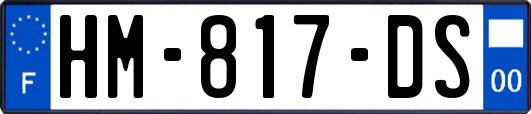 HM-817-DS