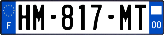 HM-817-MT