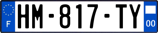 HM-817-TY