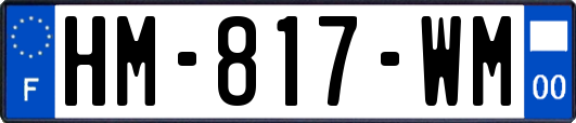 HM-817-WM