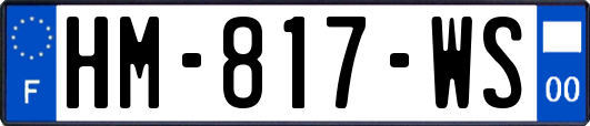 HM-817-WS