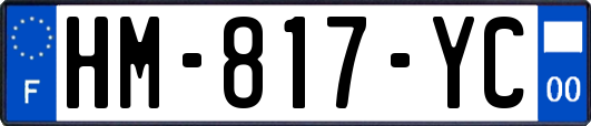HM-817-YC