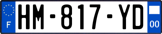 HM-817-YD