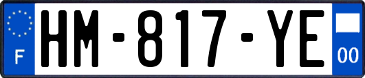 HM-817-YE
