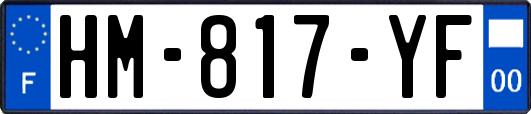 HM-817-YF