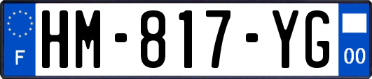 HM-817-YG