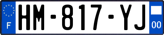 HM-817-YJ