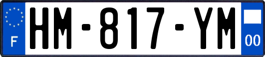 HM-817-YM