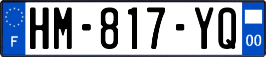 HM-817-YQ