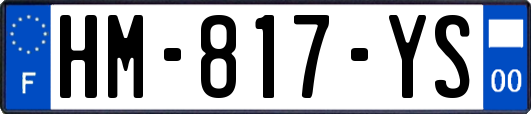 HM-817-YS