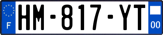 HM-817-YT