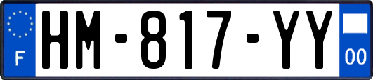 HM-817-YY
