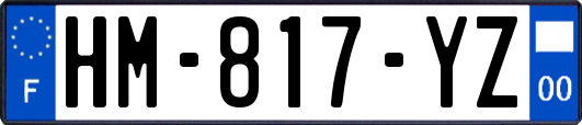 HM-817-YZ