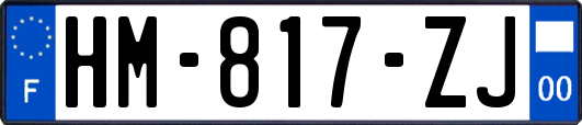 HM-817-ZJ