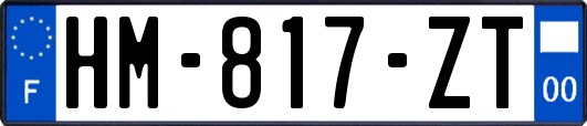 HM-817-ZT