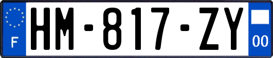 HM-817-ZY