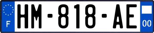 HM-818-AE
