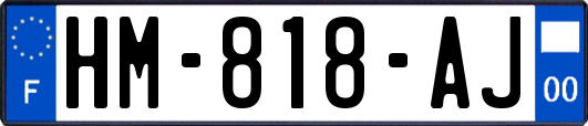 HM-818-AJ
