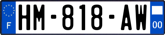 HM-818-AW