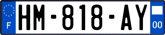 HM-818-AY