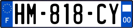 HM-818-CY