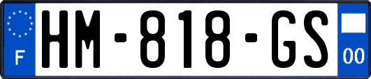 HM-818-GS