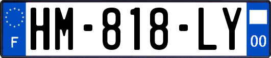 HM-818-LY