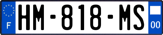 HM-818-MS