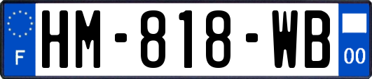 HM-818-WB