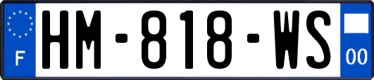 HM-818-WS