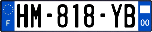 HM-818-YB
