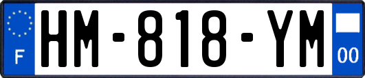 HM-818-YM