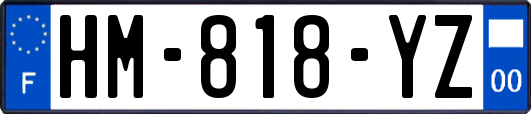 HM-818-YZ