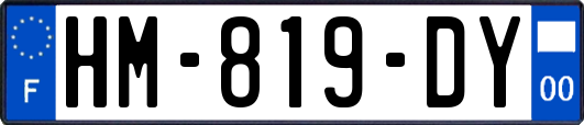 HM-819-DY