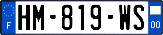HM-819-WS