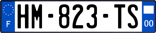 HM-823-TS