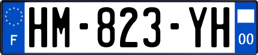 HM-823-YH