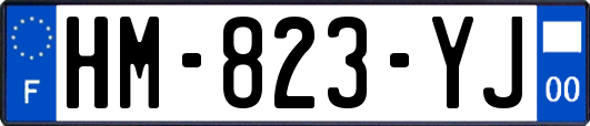HM-823-YJ
