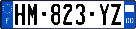 HM-823-YZ
