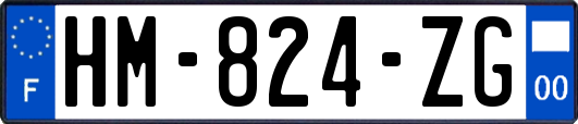 HM-824-ZG