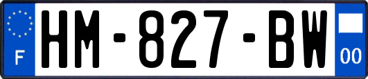 HM-827-BW