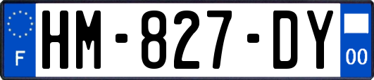 HM-827-DY