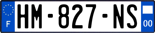 HM-827-NS