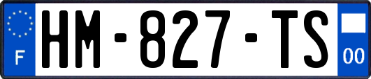 HM-827-TS