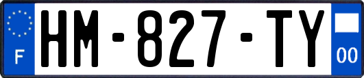 HM-827-TY