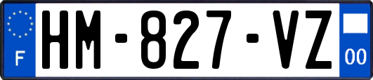 HM-827-VZ