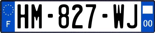 HM-827-WJ